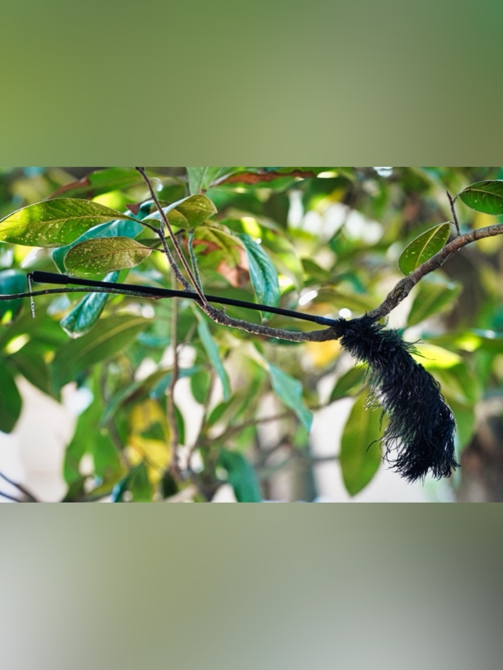 Ostrich Feather Duster Costume Prop - Black French Maid Accessory